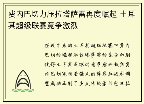 费内巴切力压拉塔萨雷再度崛起 土耳其超级联赛竞争激烈